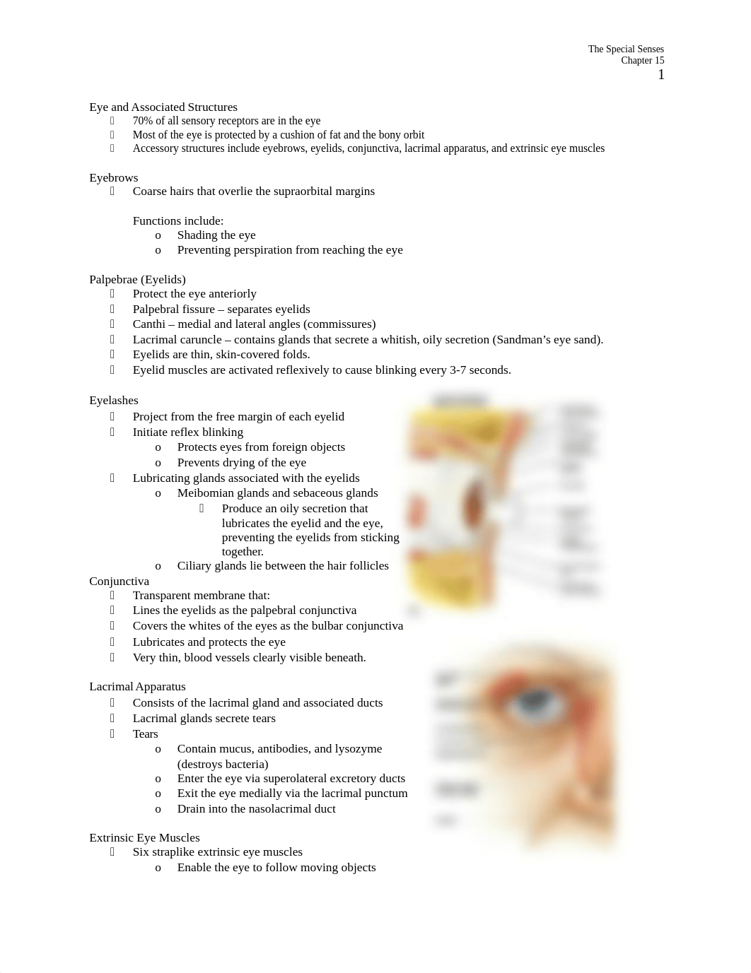 Chp 15 Special Senses.docx_dglkuwmrt0c_page1