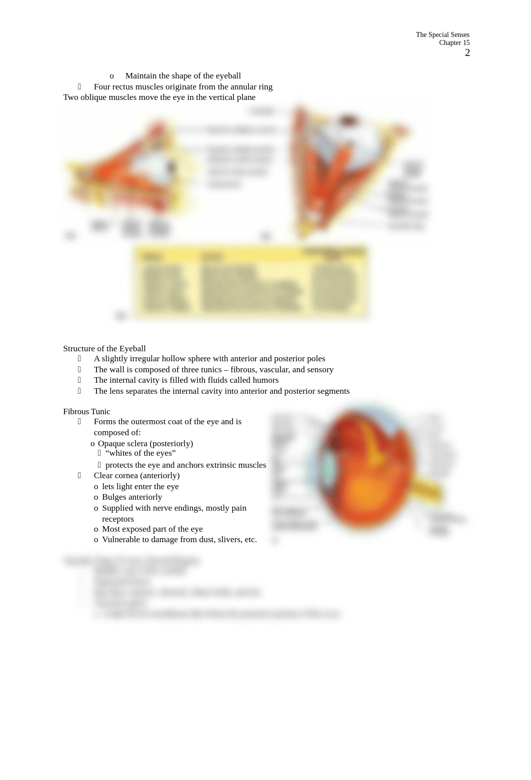 Chp 15 Special Senses.docx_dglkuwmrt0c_page2