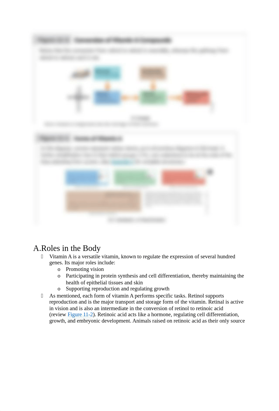 Chapter 11 The Fat Soluble Vitamins.docx_dgln064rngu_page2