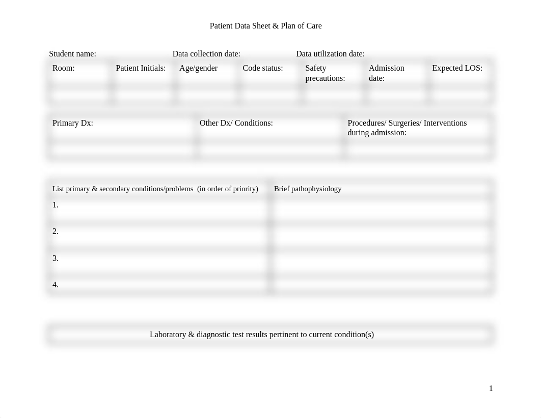 Copy of Copy of Copy of Copy of Copy of Blank Patient Data Sheet  Plan of Care Template-2_dglrdrnkt4u_page1