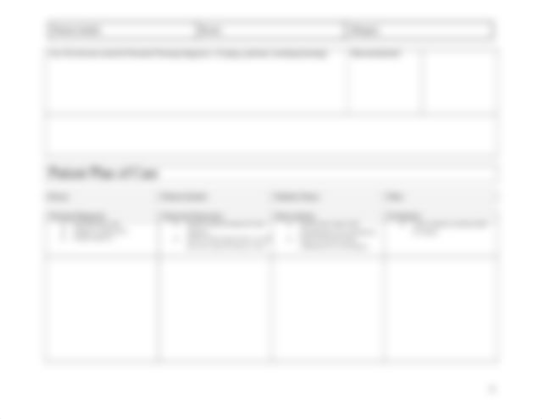 Copy of Copy of Copy of Copy of Copy of Blank Patient Data Sheet  Plan of Care Template-2_dglrdrnkt4u_page4