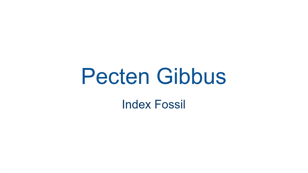 Pecten Gibbus.pdf_dglsykwye57_page1