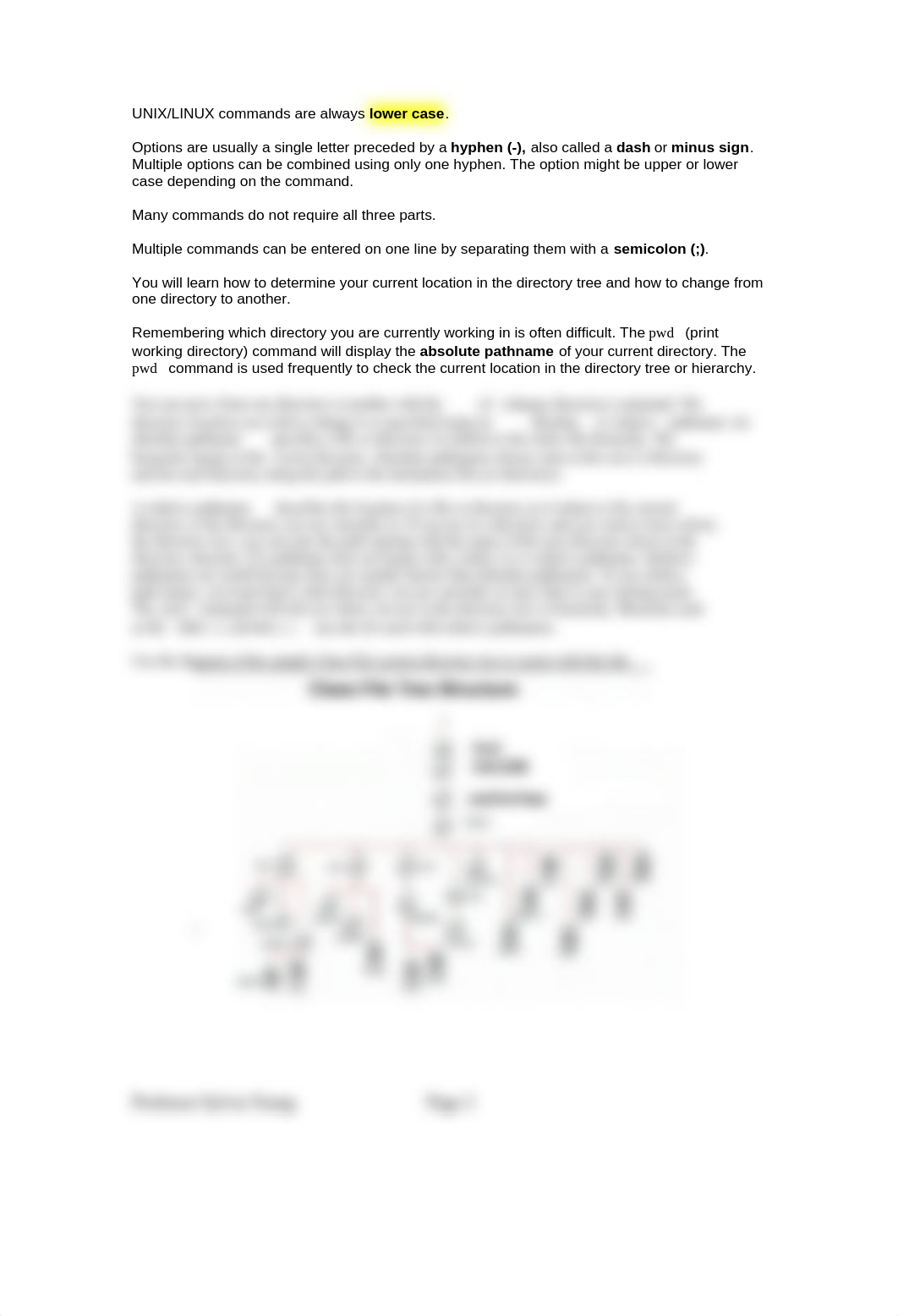 PPLab1.docx_dgm7hgo91r9_page2