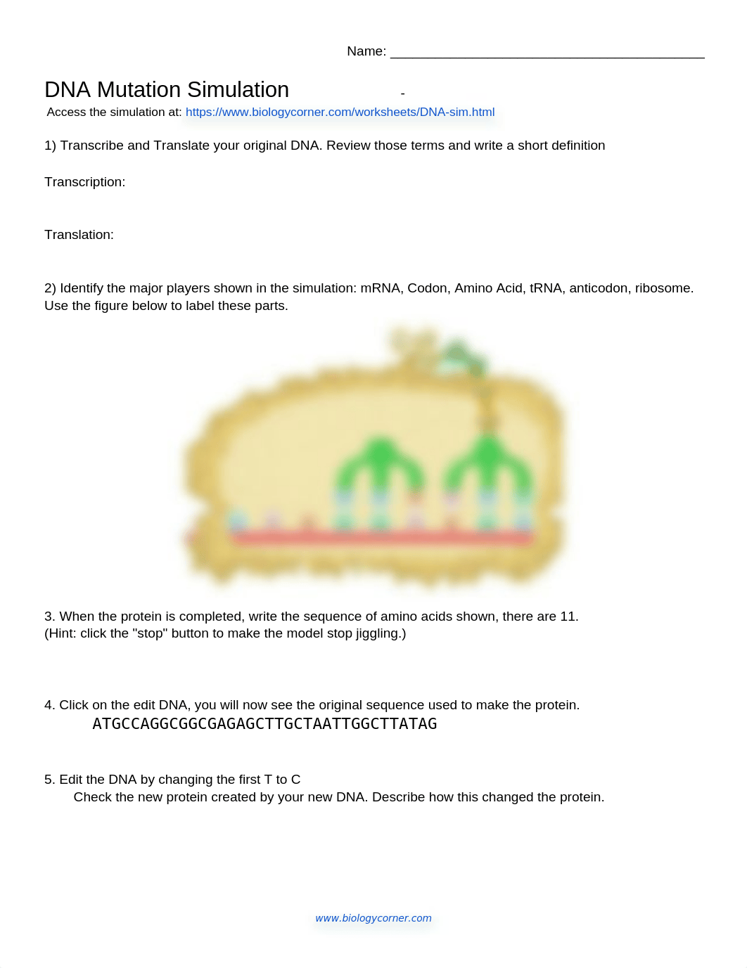 Copy_of_DNA_Mutation_Simulation_Worksheet_dgm8vtaedwh_page1
