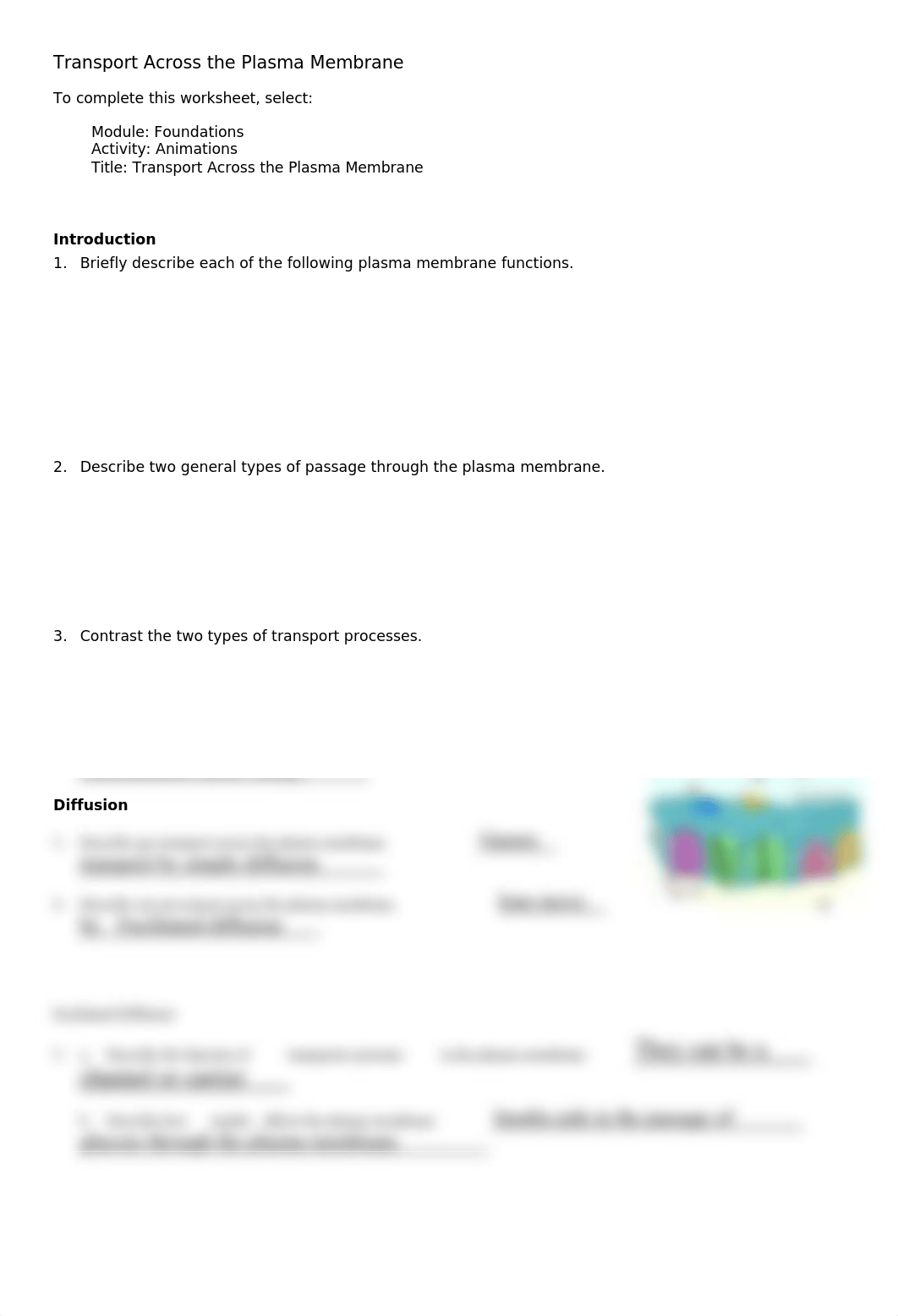 anim_transport_across_plasma_membrane_worksheet.doc_dgme23oluhp_page1