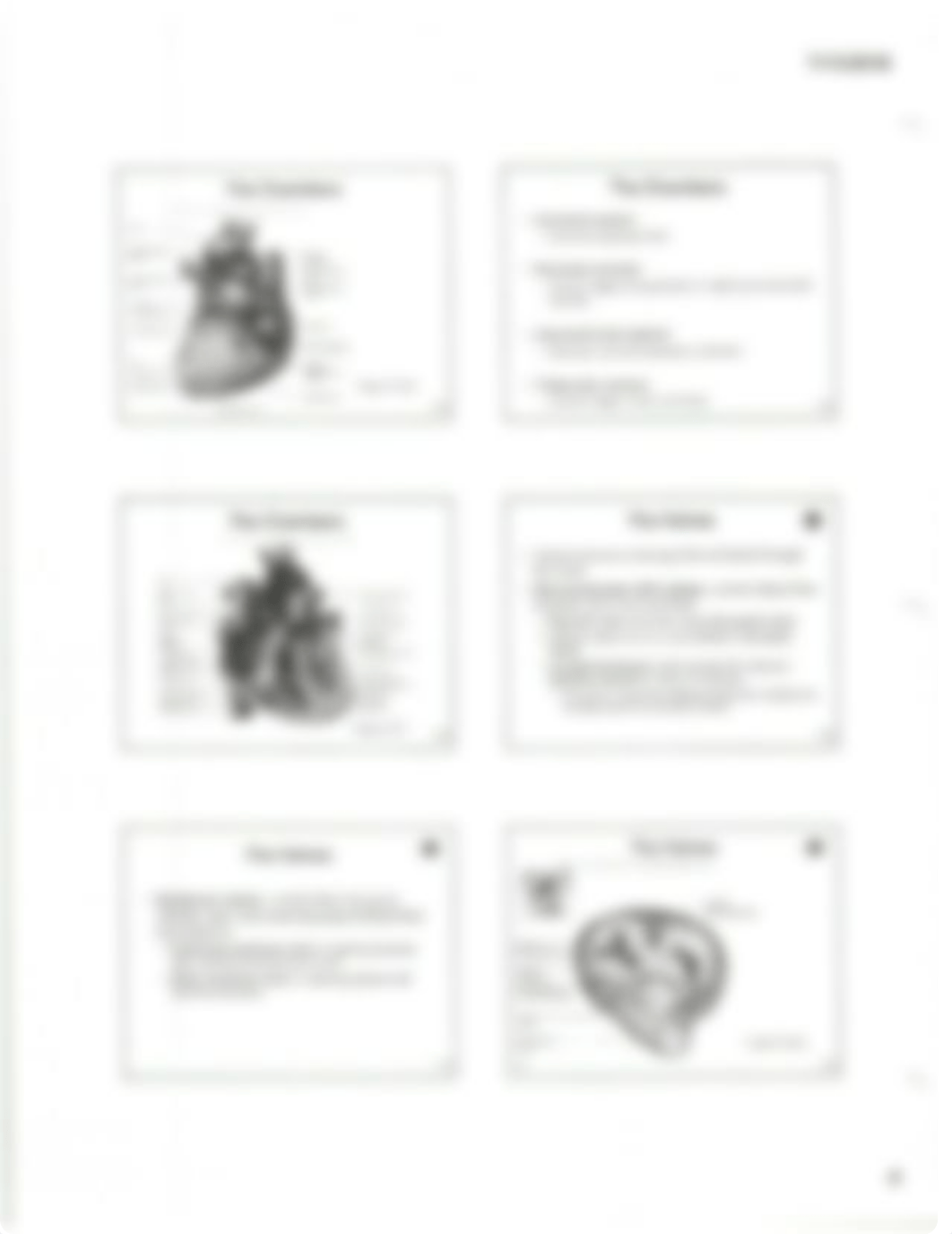 Chapter 19 The Circulatory System-Heart.pdf_dgmfam8uinf_page4