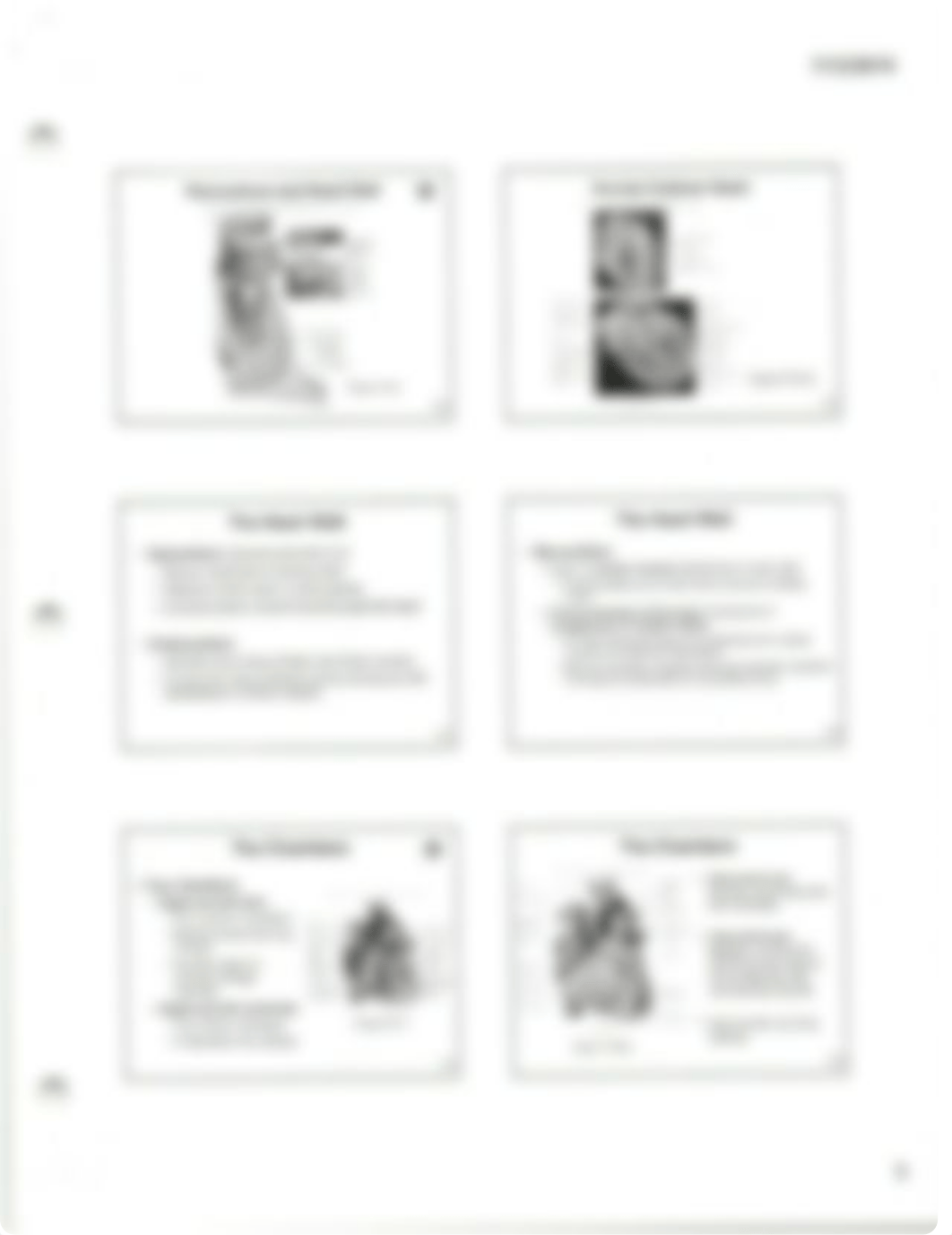 Chapter 19 The Circulatory System-Heart.pdf_dgmfam8uinf_page3