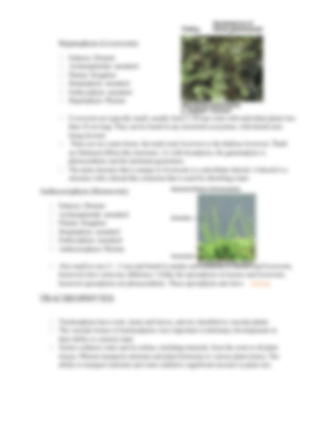 LAB EXERCISE 5 Plant Diversity Notes.docx_dgmfvoan7i8_page4