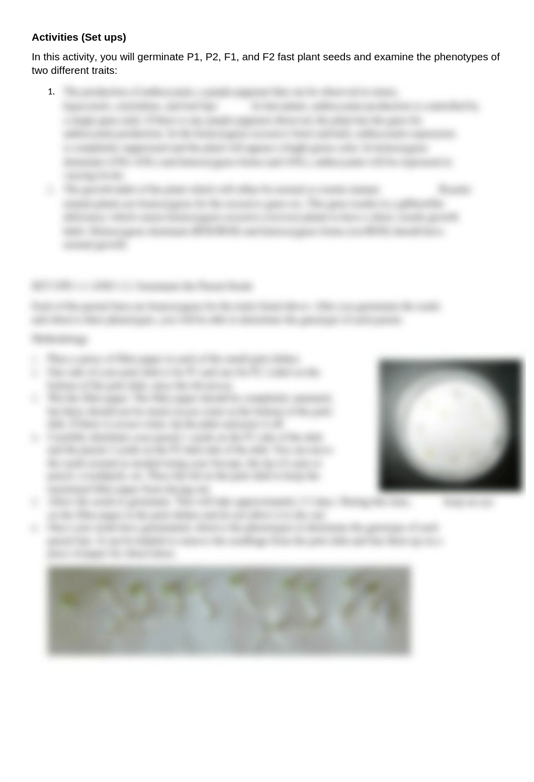 Fast plant lab part 1.doc_dgmkeujexn8_page2