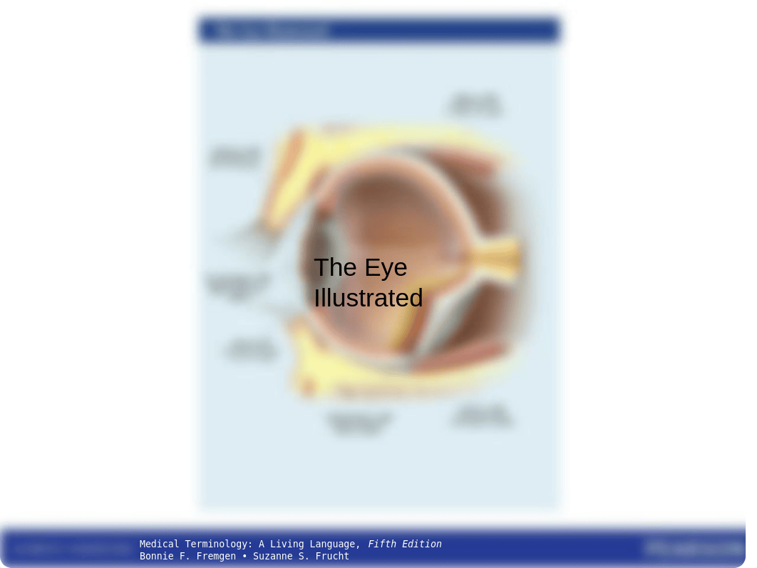 Chapter 13- Special Senses - The Eye and Ear.ppt_dgmlnm6sxwp_page5