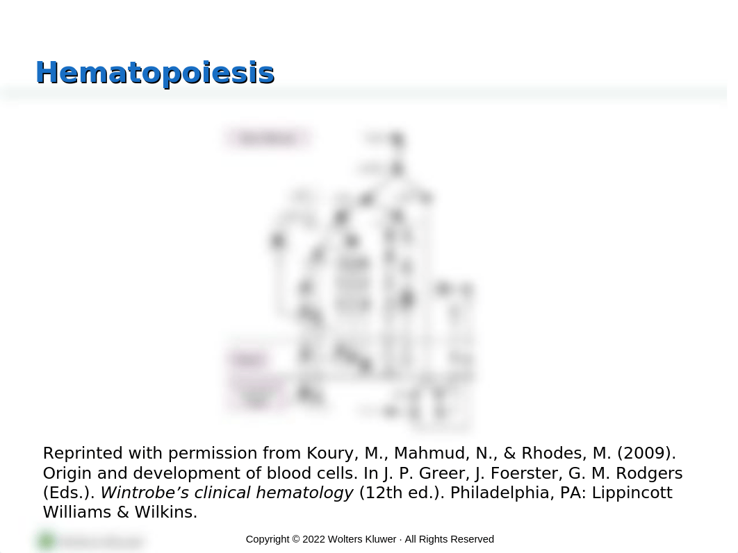 Ch 28 Hematologic Function & TX.pptx_dgmob671pwa_page4