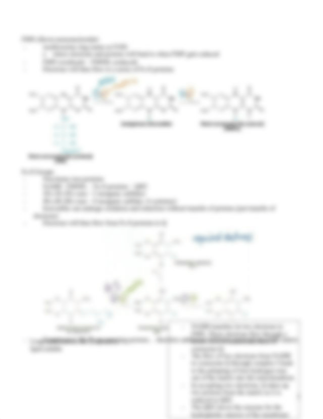 Summer 13 biochemistry Chapter 18_dgmq4aujl8q_page3