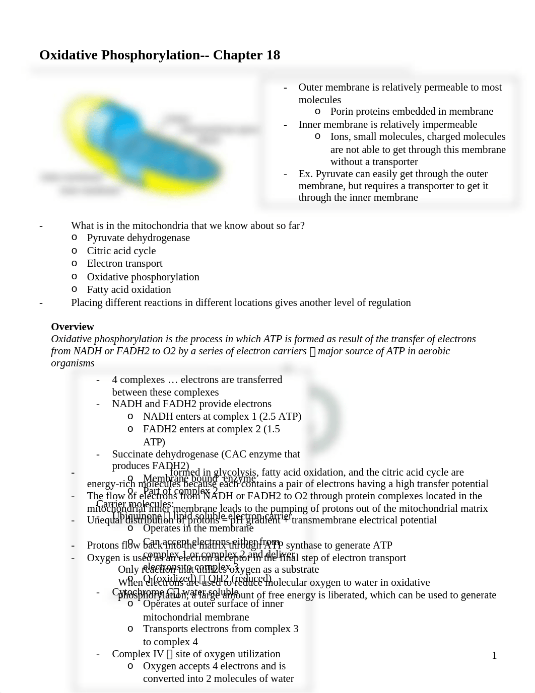 Summer 13 biochemistry Chapter 18_dgmq4aujl8q_page1