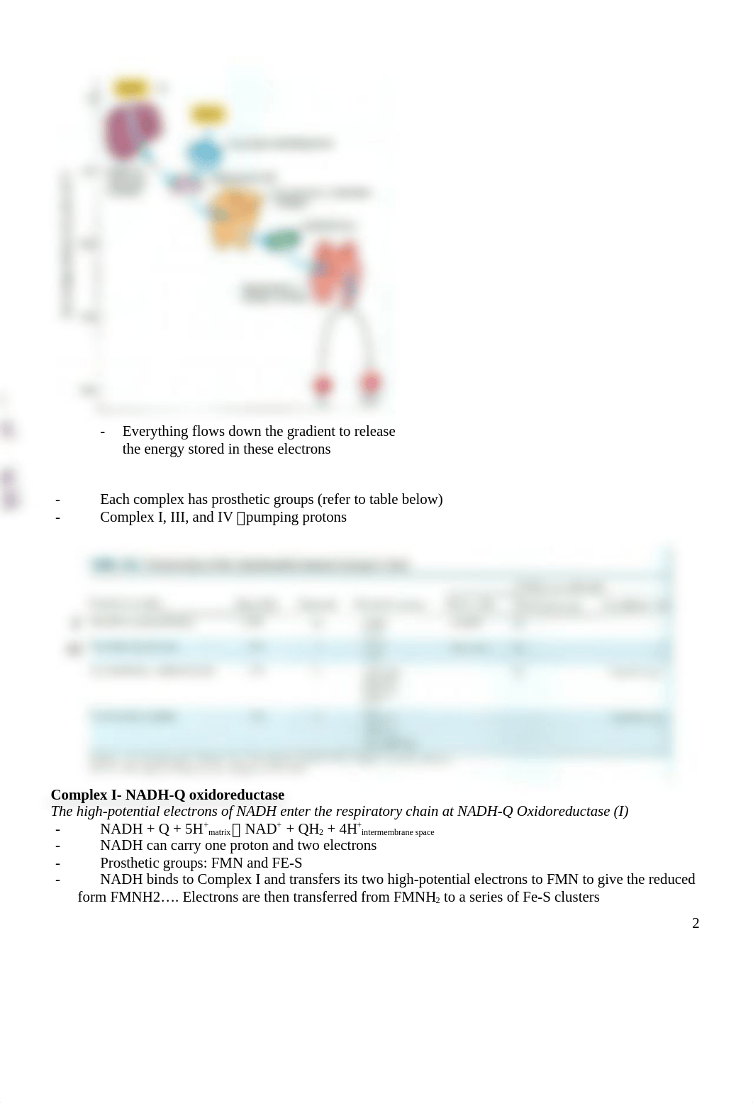 Summer 13 biochemistry Chapter 18_dgmq4aujl8q_page2