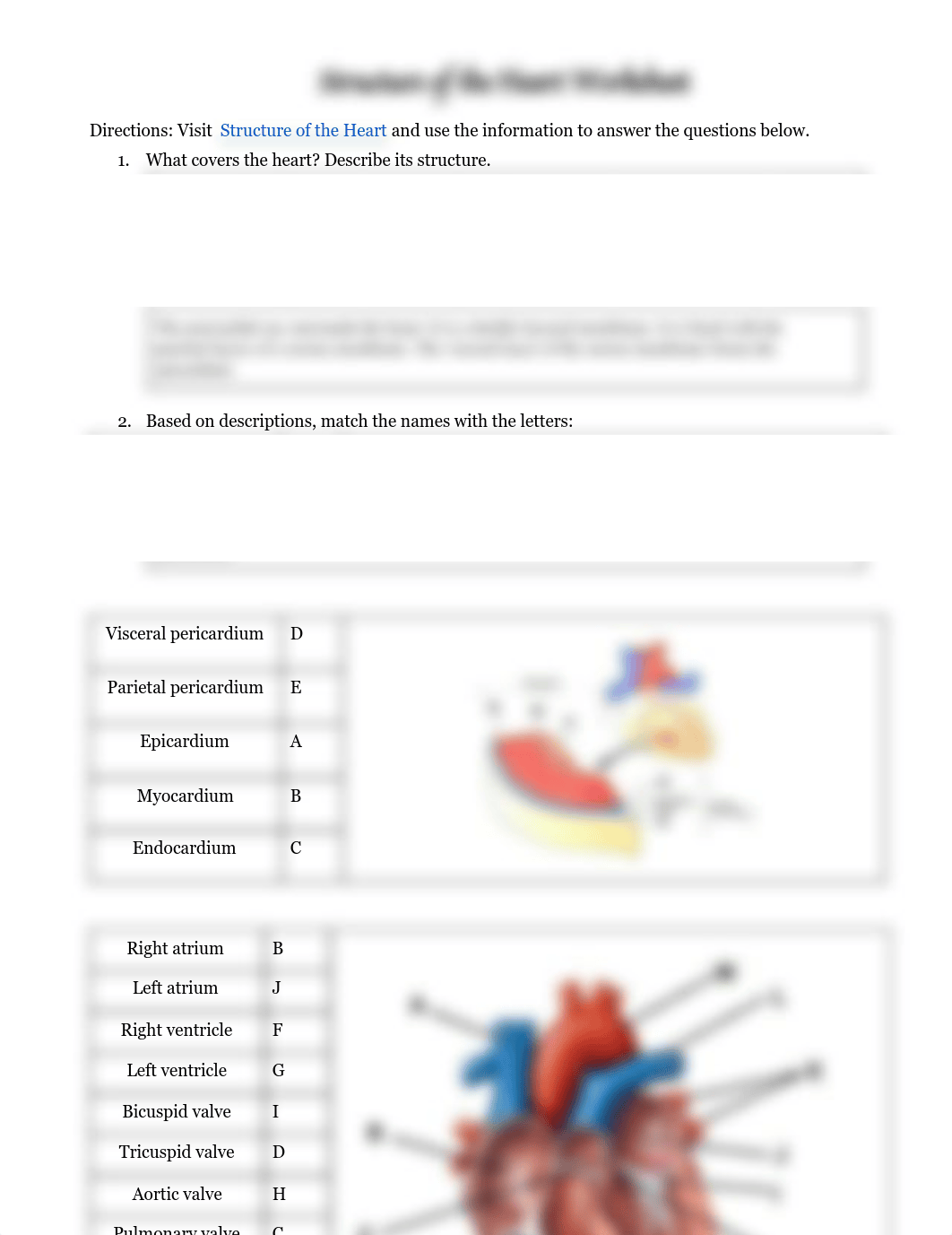 _Structure of the Heart Virtual Worksheet.pdf_dgmria5z6ia_page1