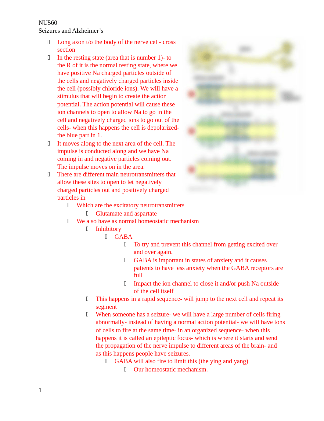 Seizures and Alzheimers.docx_dgmx43tbuyb_page1