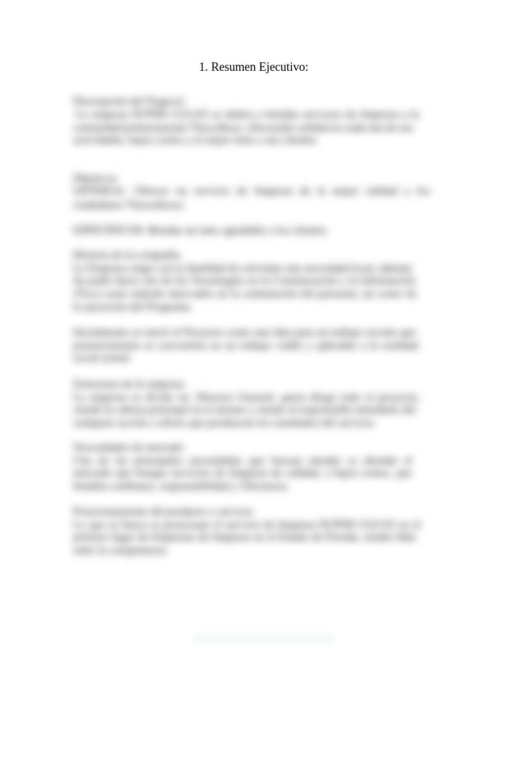 Ejemplo-Plan-de-Negocios-Empresa-Limpieza.pdf_dgn1ybc5mnd_page5