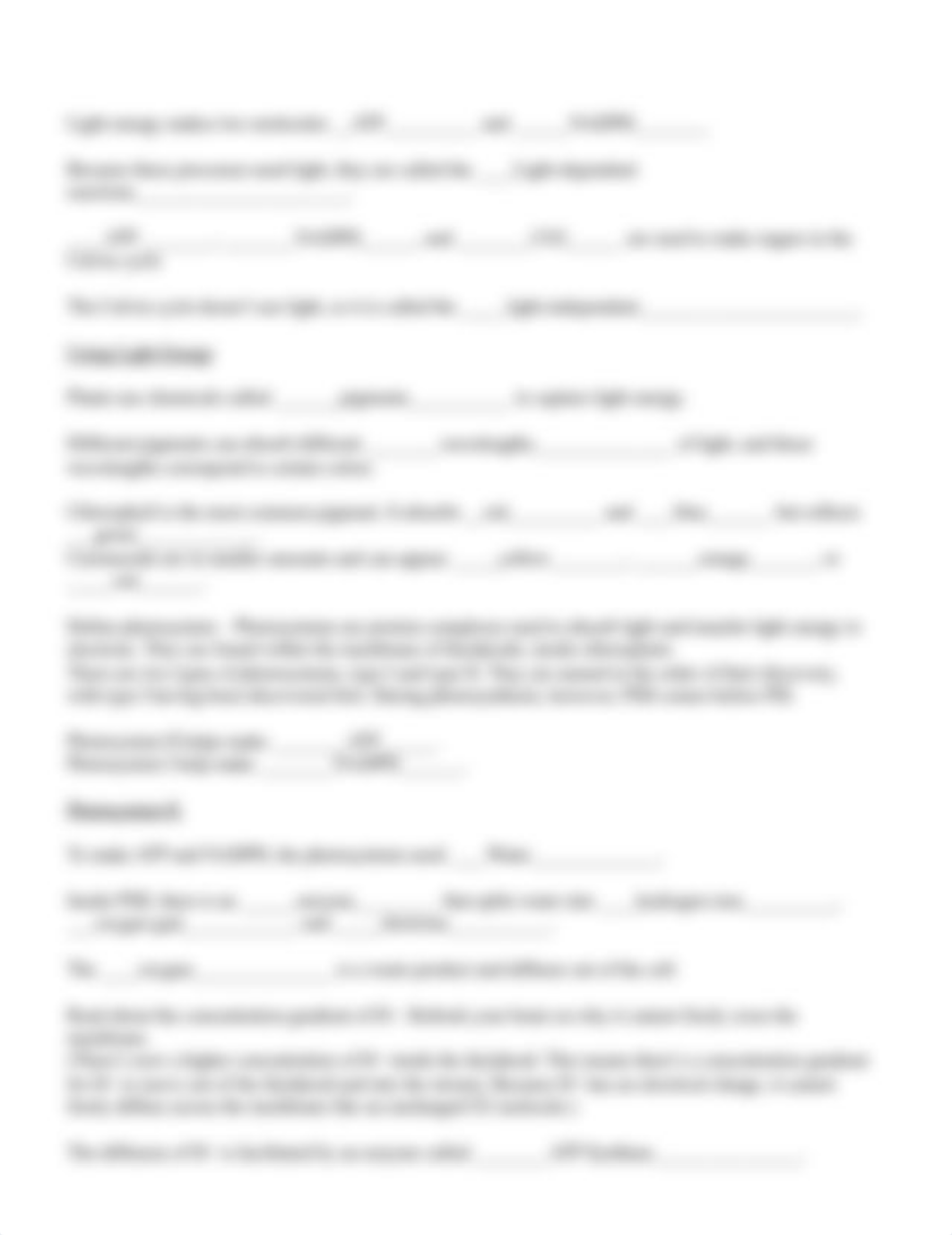 Guided Notes - Photosynthesis Handbook.docx_dgn2swh6m0s_page2