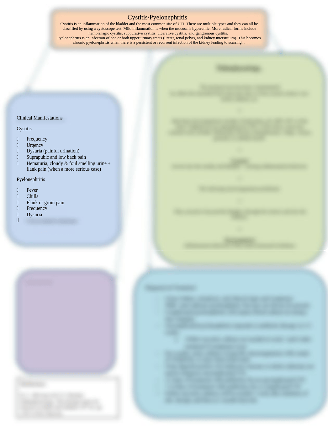 Bakirtzis, E. Cystitis:Pyelonephritis Concept Map.docx_dgnay2xse1i_page1