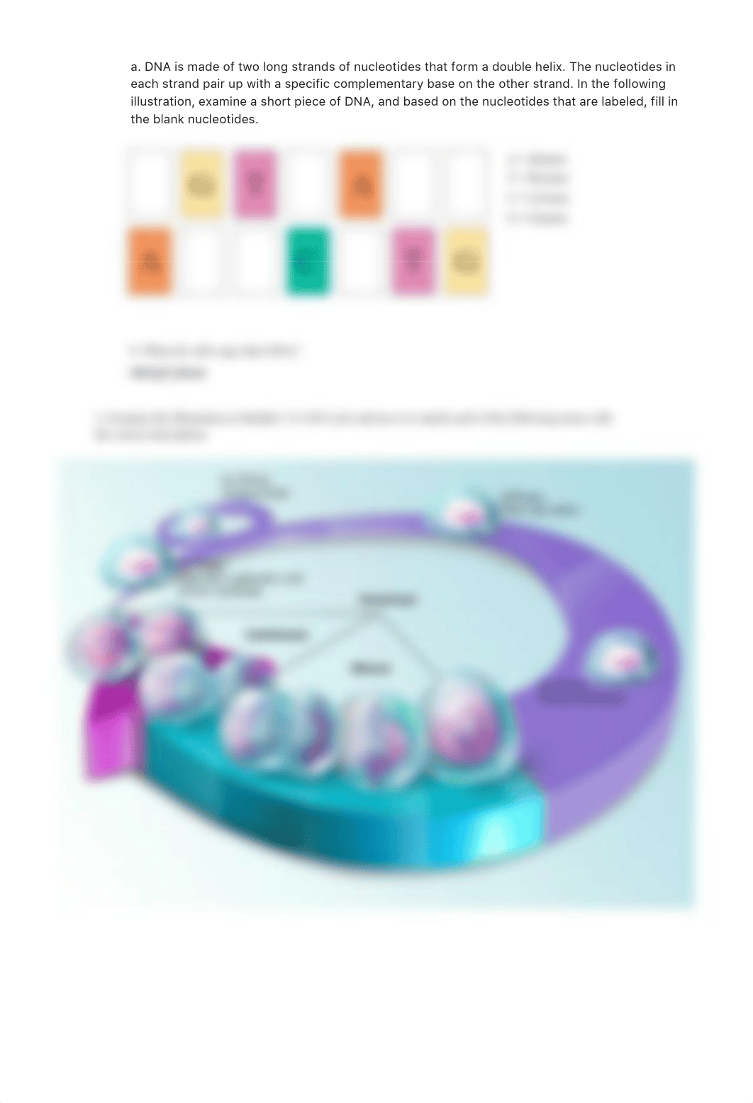 lab manual_cell life cycle_a+p.pdf_dgngsgi5blx_page3