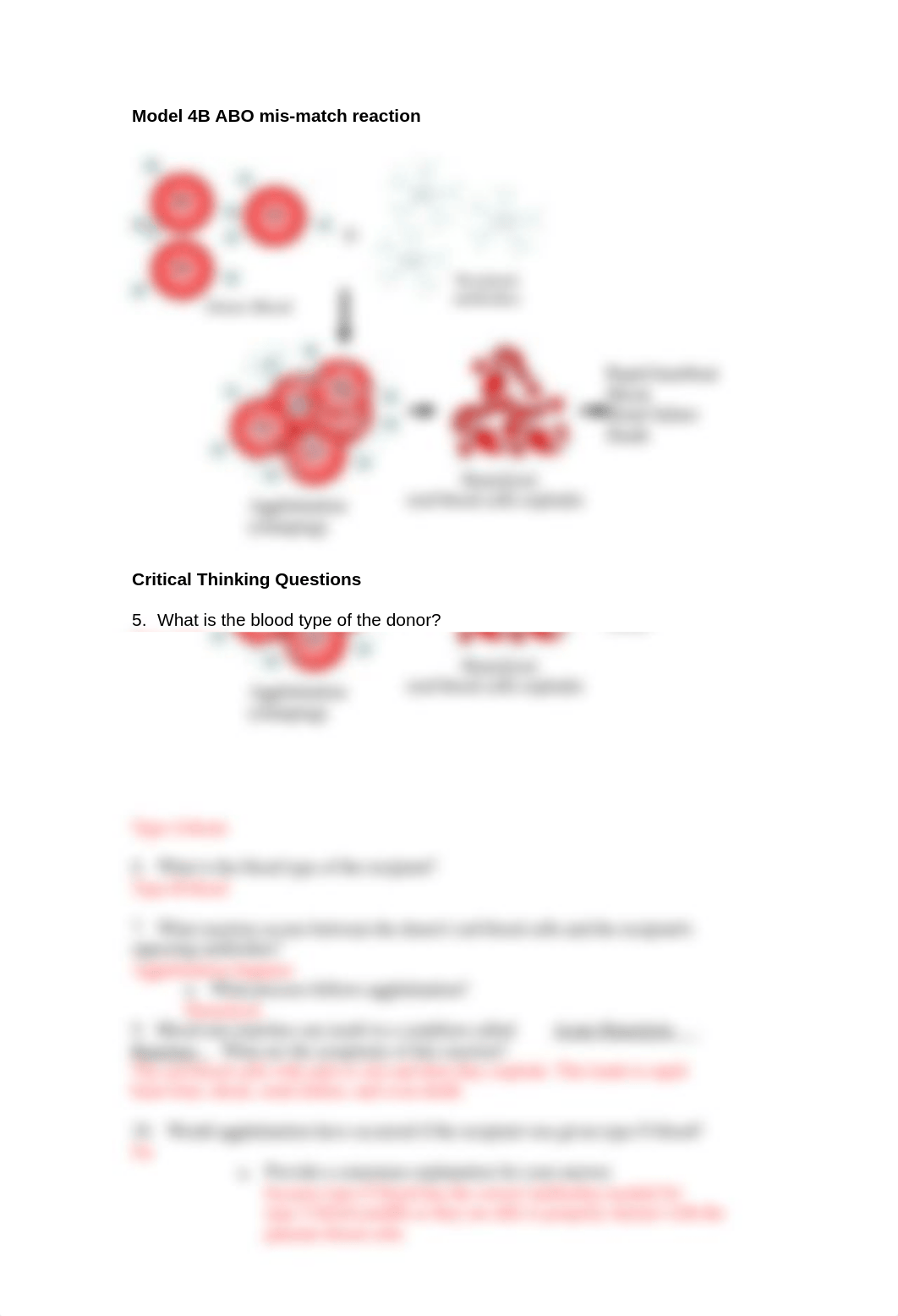 BIO 313 pogil blood type.doc_dgnj6qxb9tt_page2