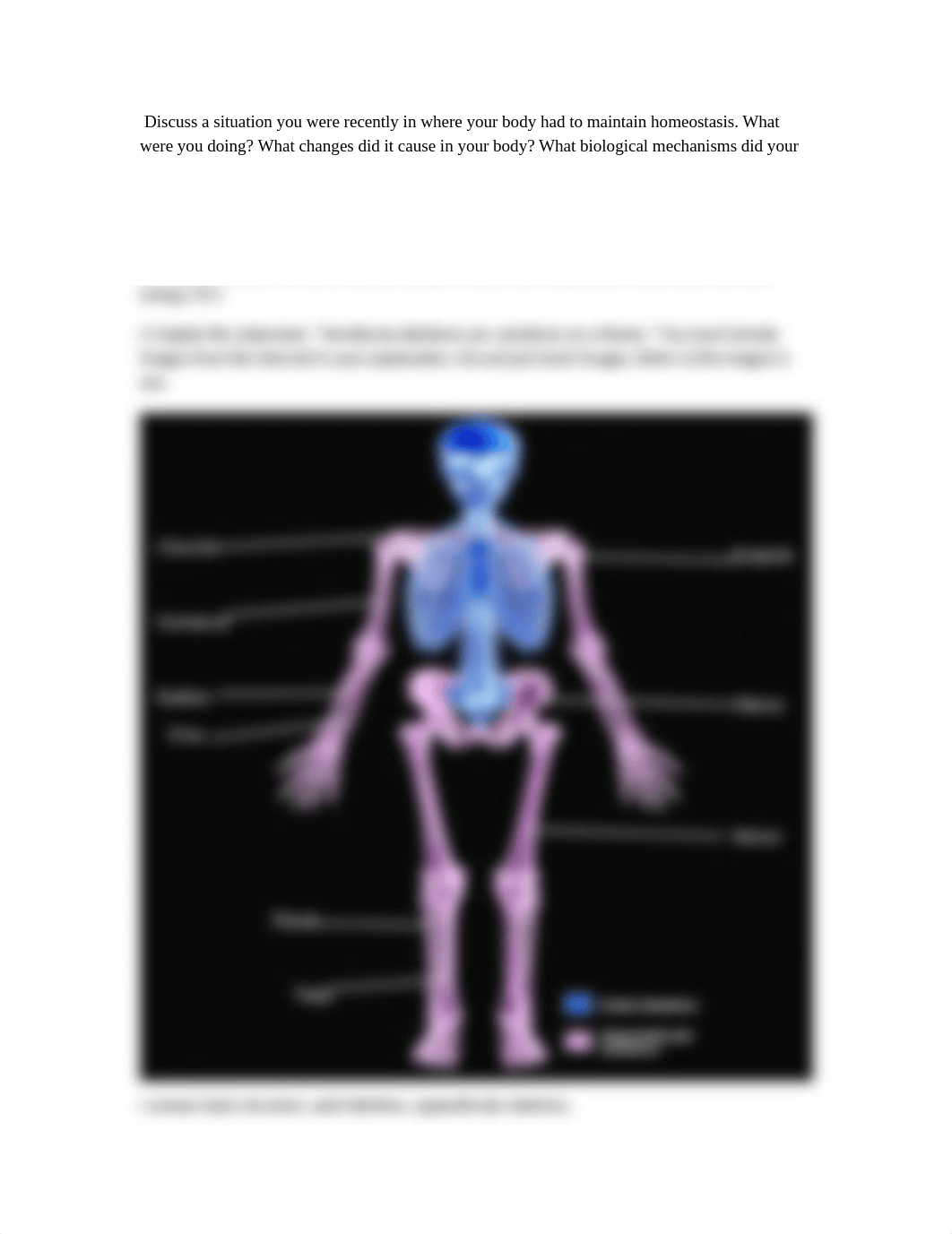 bio2.rtf_dgntlninmuz_page1