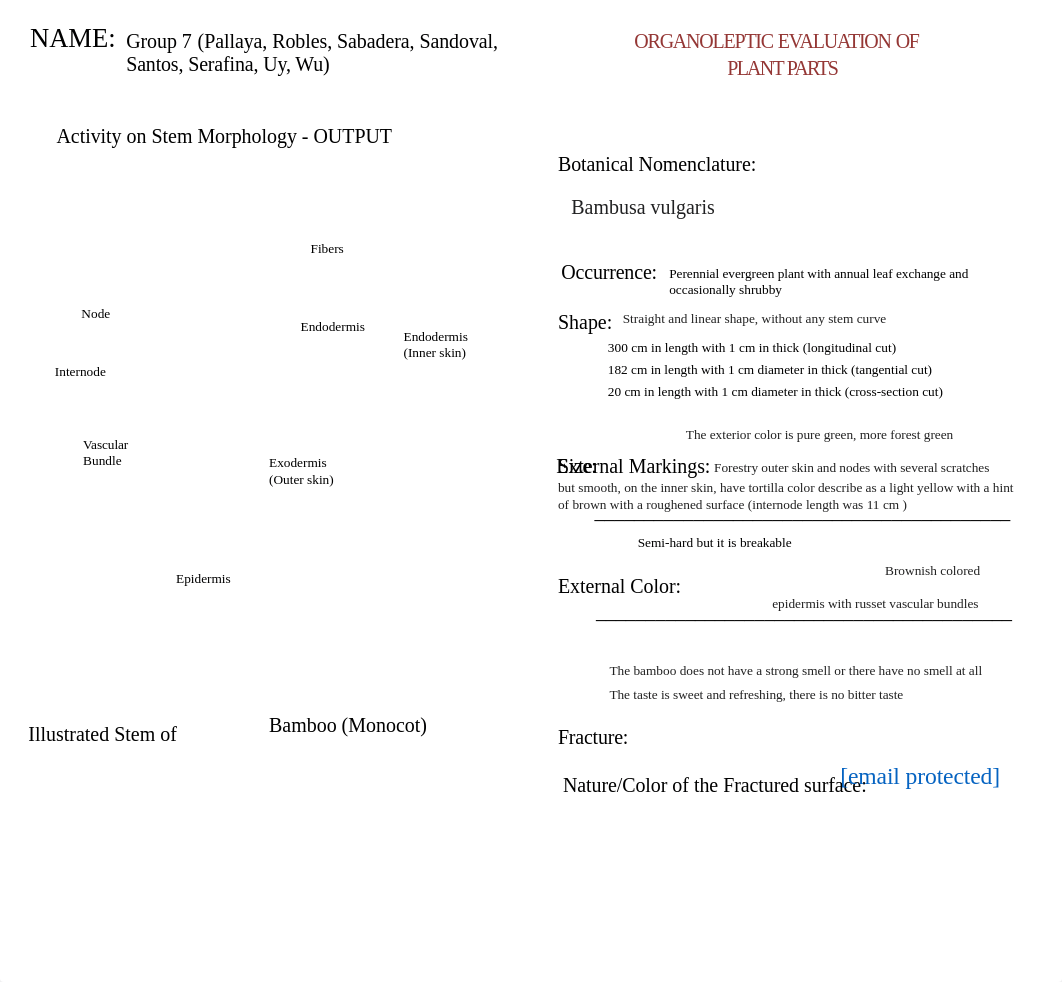 Uy_BSP1A-1_ACTIVITY OUTPUT on STEM MORPHOLOGY.pptx_dgny4vbetx1_page1