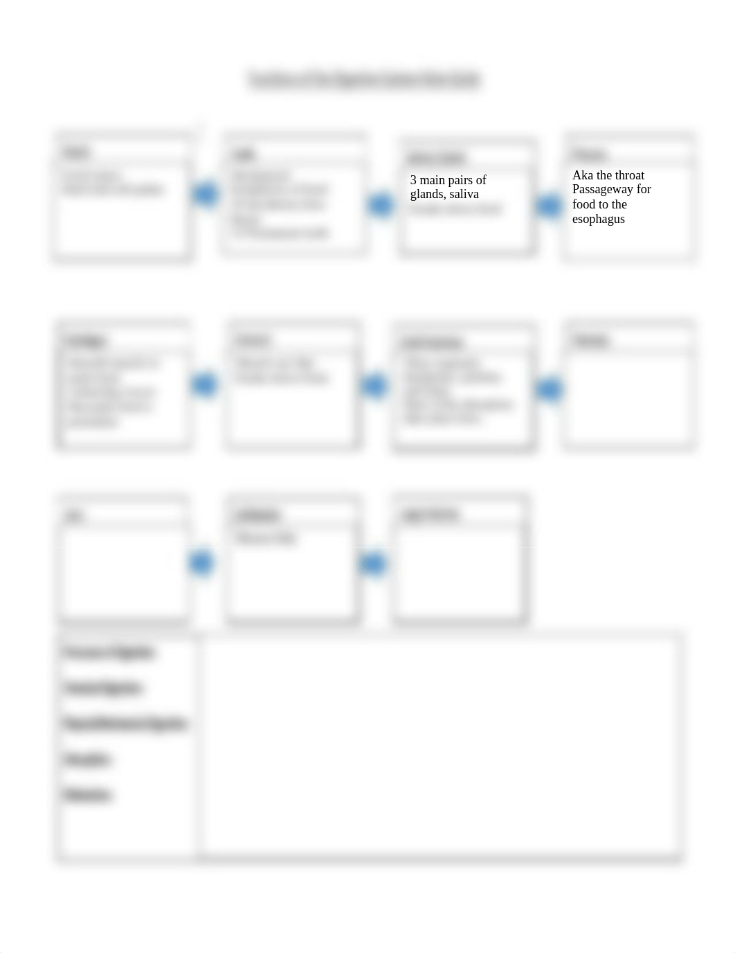 Copy of 3.01 Digestive Labeling and Notes.docx_dgnz3tv6coh_page2