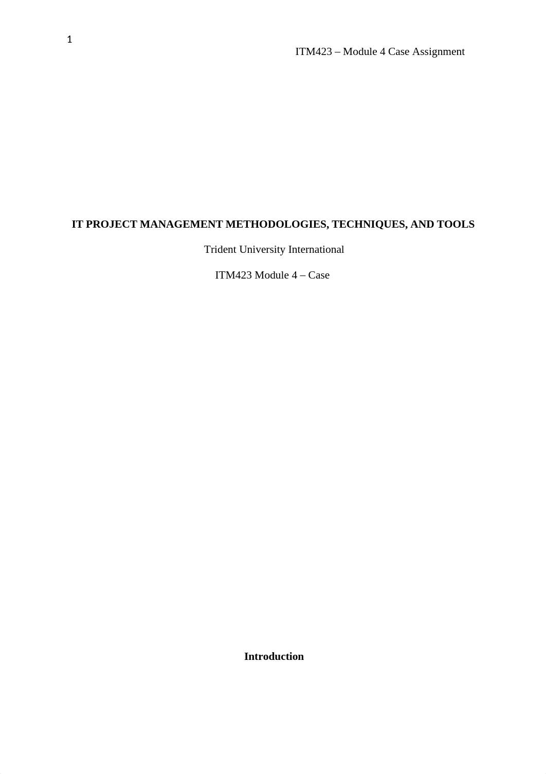 ITM423 CASE 4.docx_dgo4wcunc1q_page1