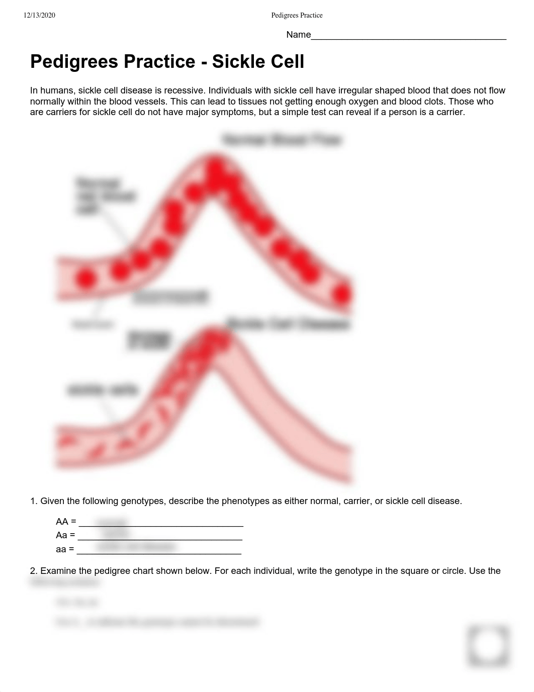 Pedigrees Practice.pdf_dgod8vre9lu_page1