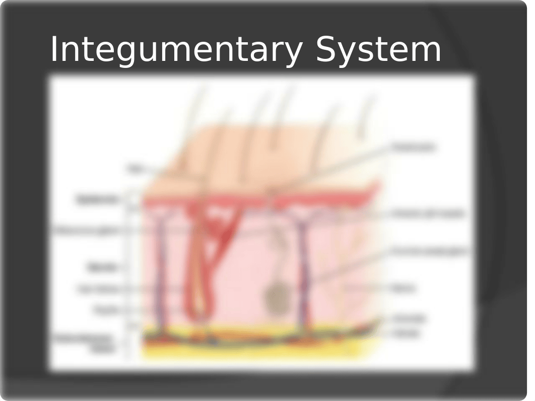 Skin Integrity  student update.pptx_dgoh997homa_page3