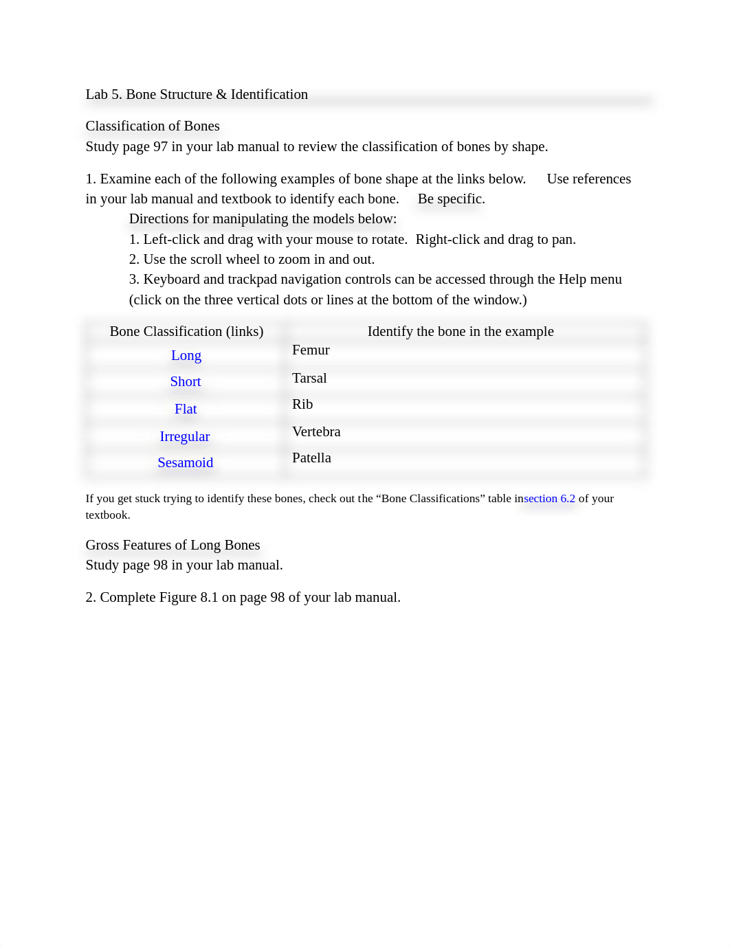 5 Bone Structure & Identification Bio241ol.pdf_dgokreci45n_page1