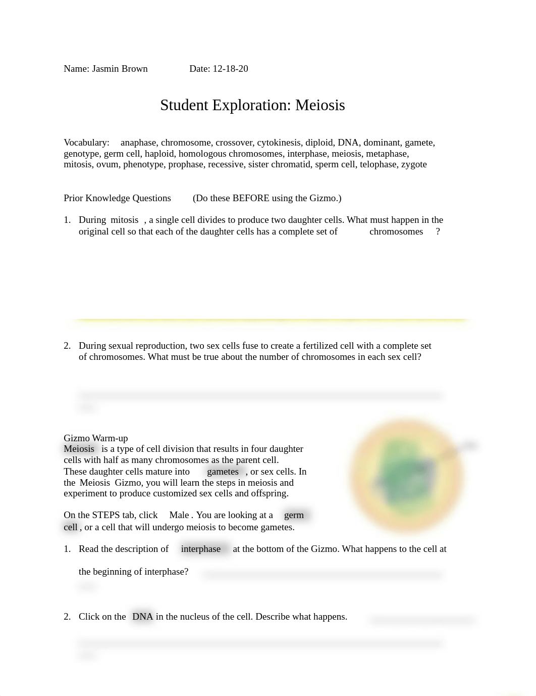 Meiosis Worksheet.docx_dgoo936czeo_page1