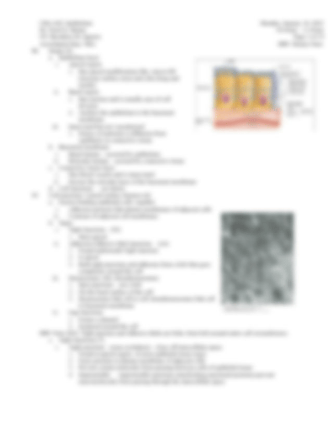 2 Epithelium HRV 2022.docx_dgort1sc6sq_page3