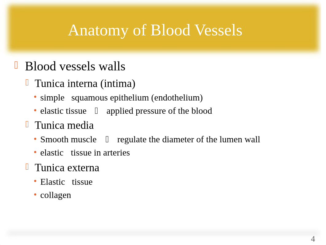 The Ch. 15 Cardiovascular System - Blood vessels_dgovbvw9hpn_page4