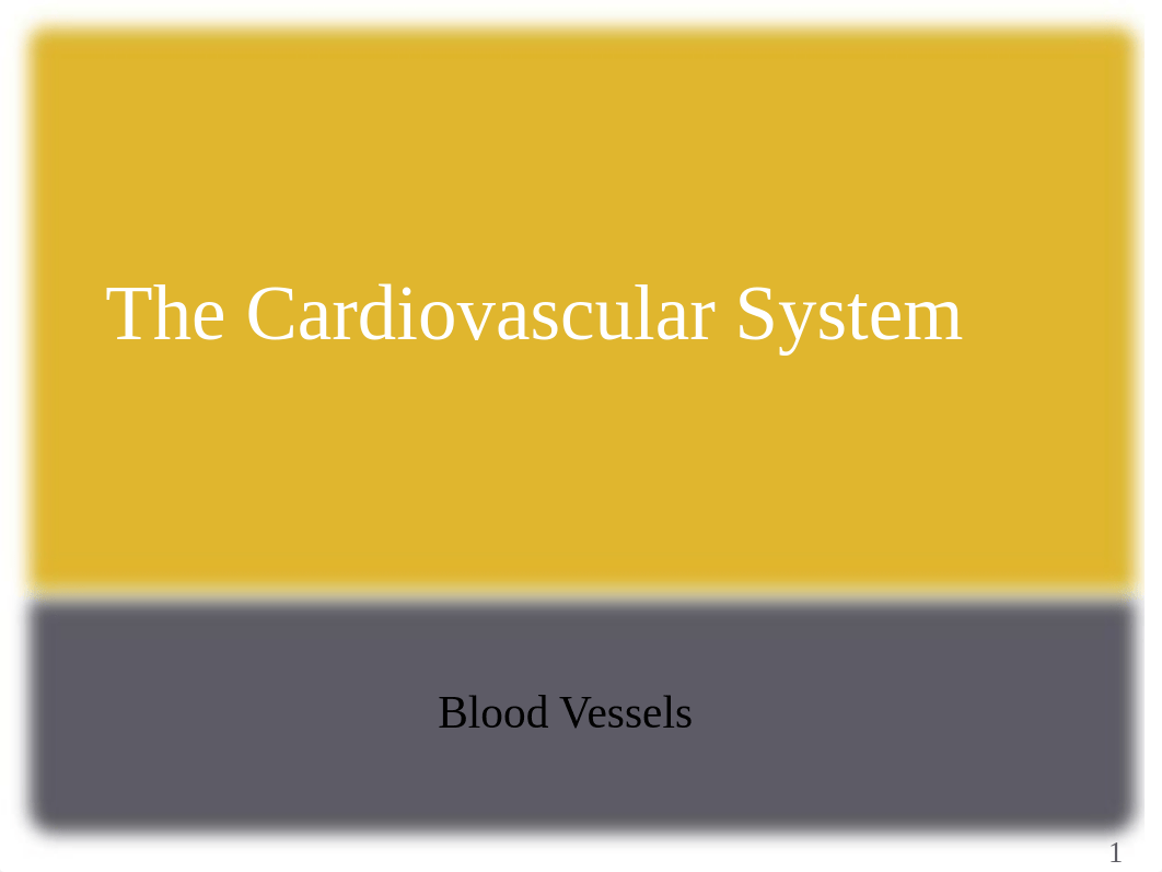 The Ch. 15 Cardiovascular System - Blood vessels_dgovbvw9hpn_page1