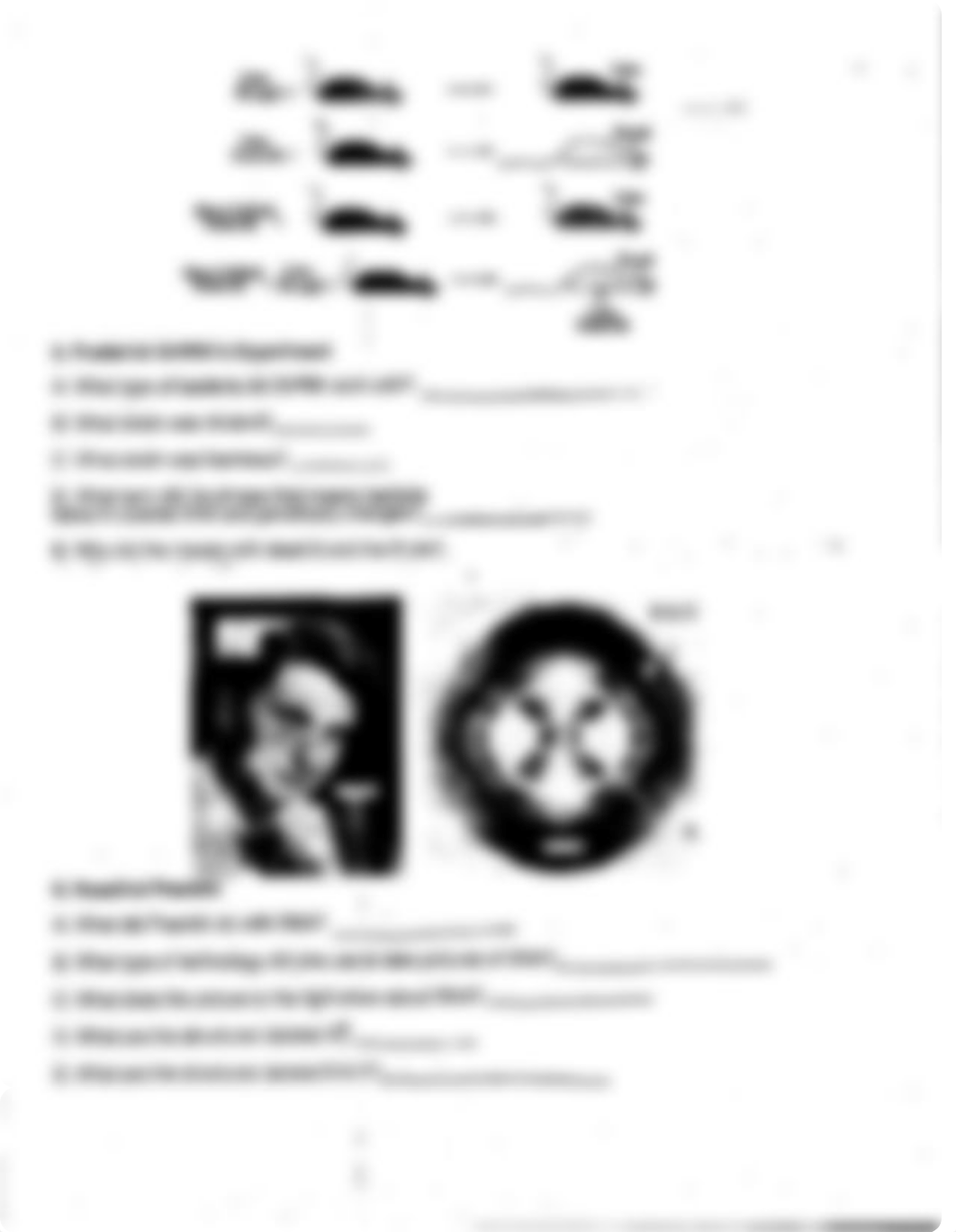 DNA Review (1).pdf_dgp2alv2vpi_page3