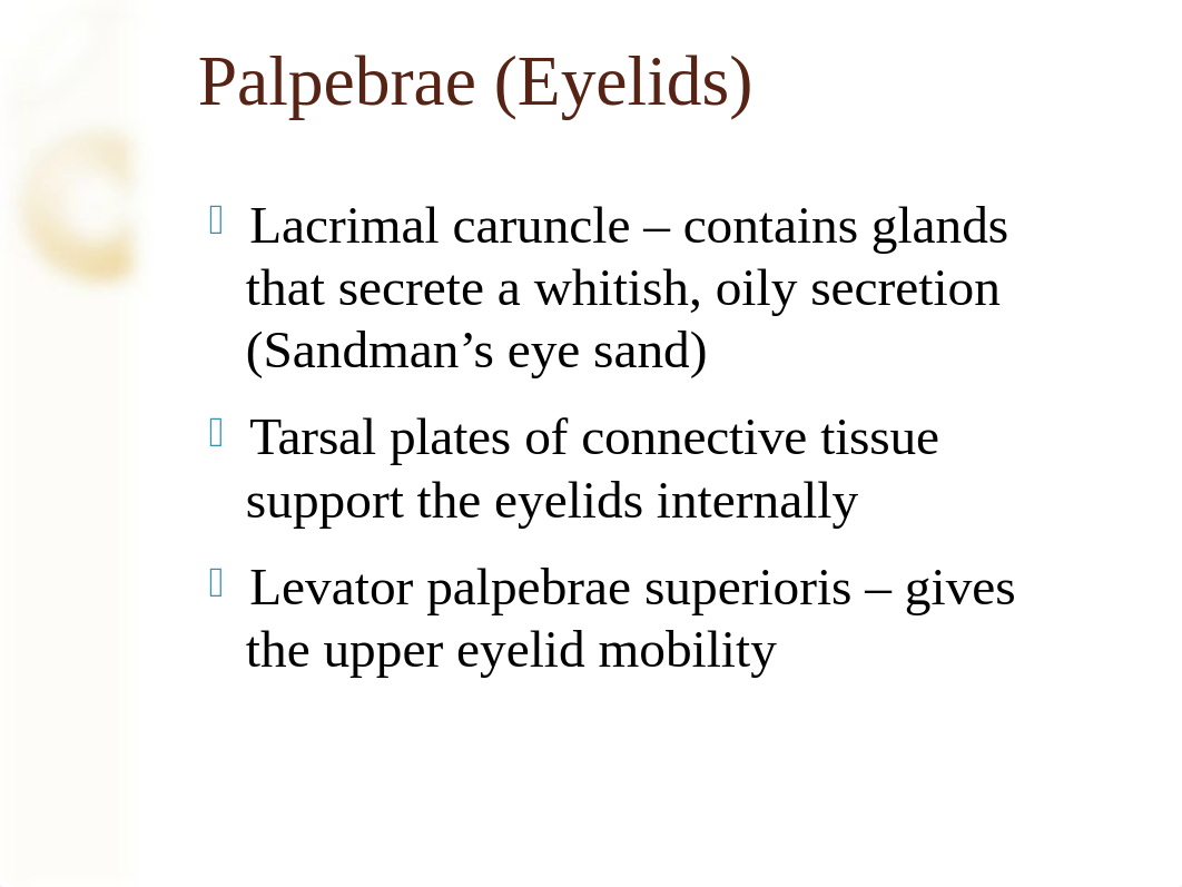 Chapter 15 Special Senses Part 1 Vision_dgpb592436d_page5