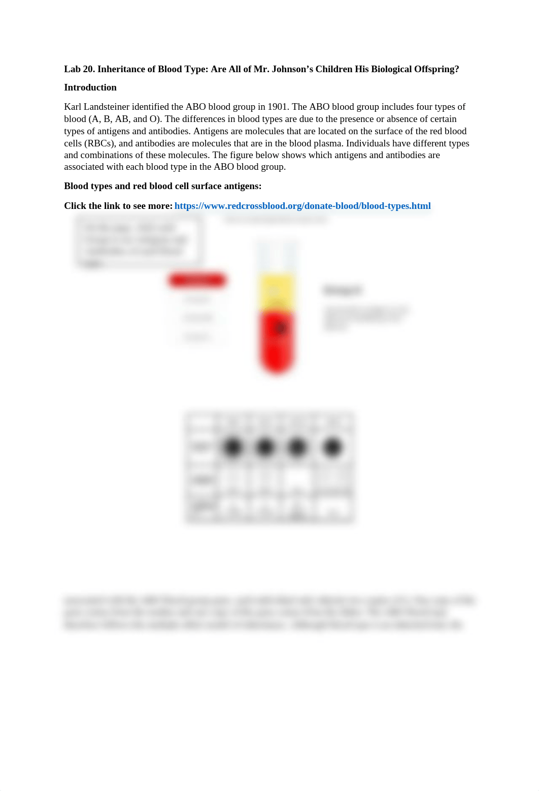 12.3 BloodTyping lab.docx_dgpkllp2pt7_page1