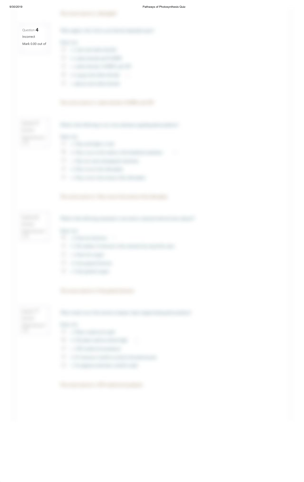 Pathways of Photosynthesis Quiz.pdf_dgptidyxf9i_page2