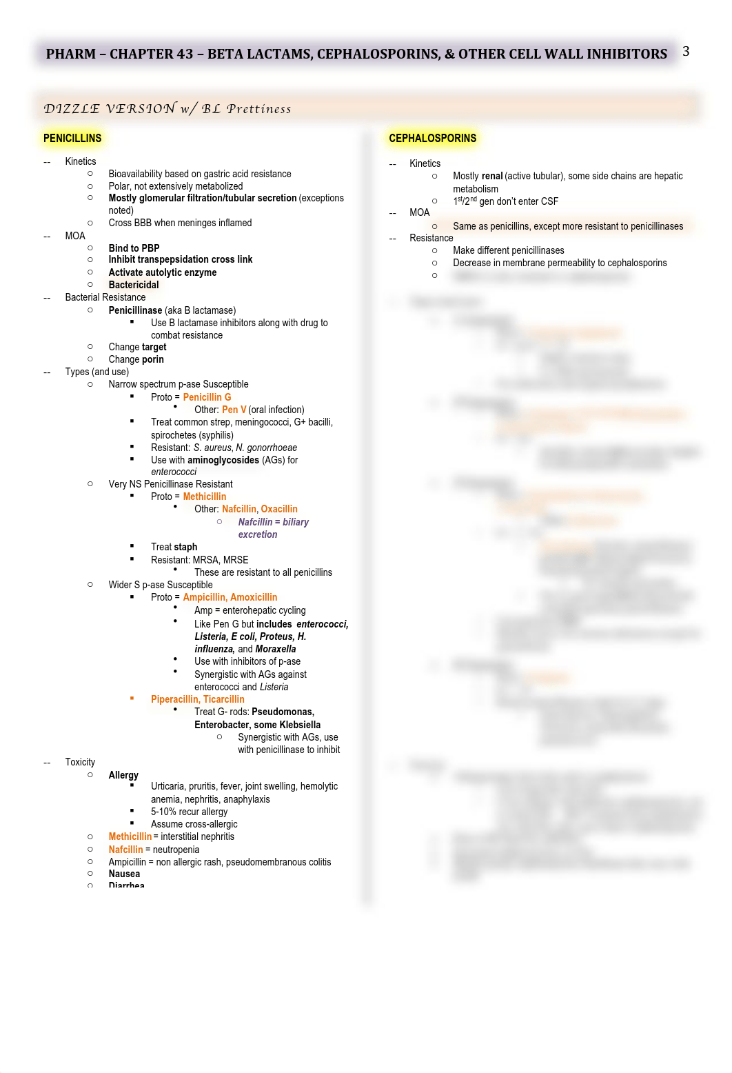 Pharm - 43 - Beta Lactams - BL_dgpuzzyt9xv_page3