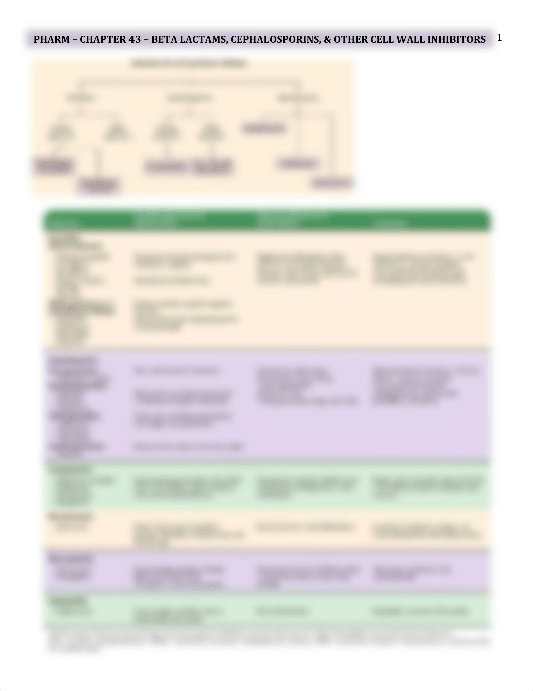 Pharm - 43 - Beta Lactams - BL_dgpuzzyt9xv_page1