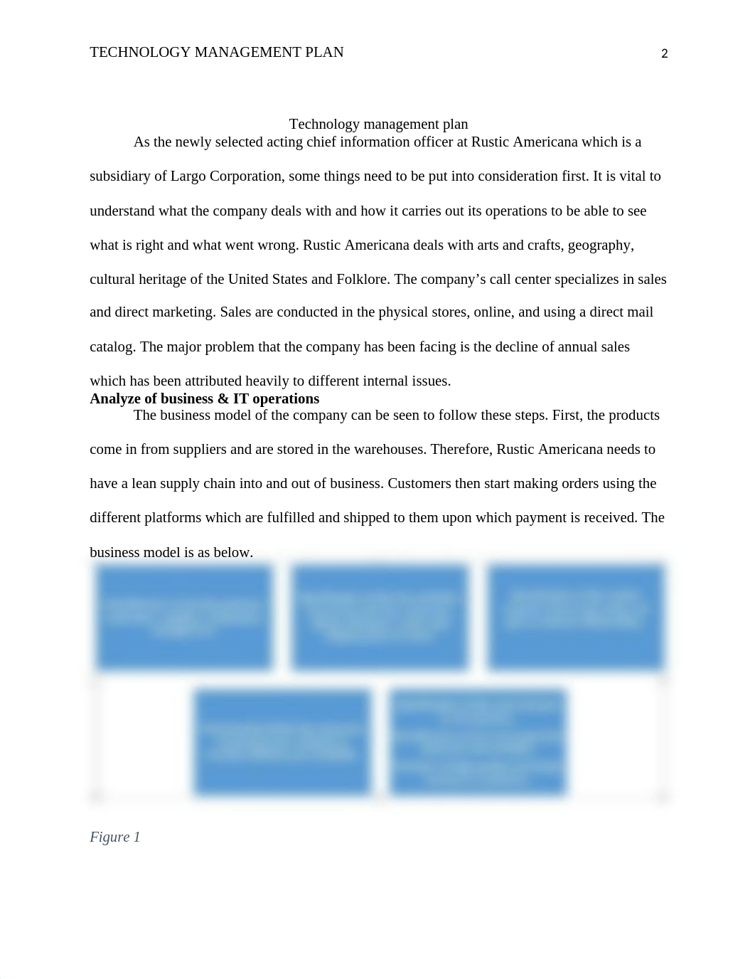 Technology Management Plan1.docx_dgpzl0qx9vb_page2