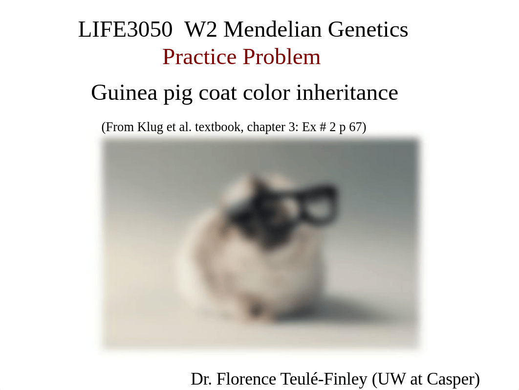 W2_MG_PracticeProblem_GuineaPigs.pptx_dgq1pz1axp5_page1