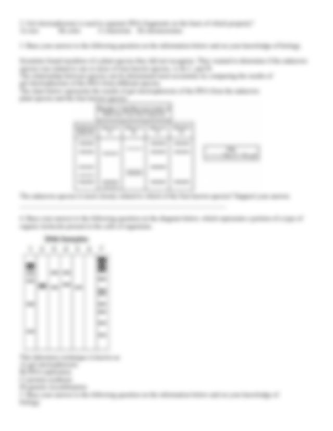 34_-_gel_electrophoresis.docx_dgq38erbv89_page2