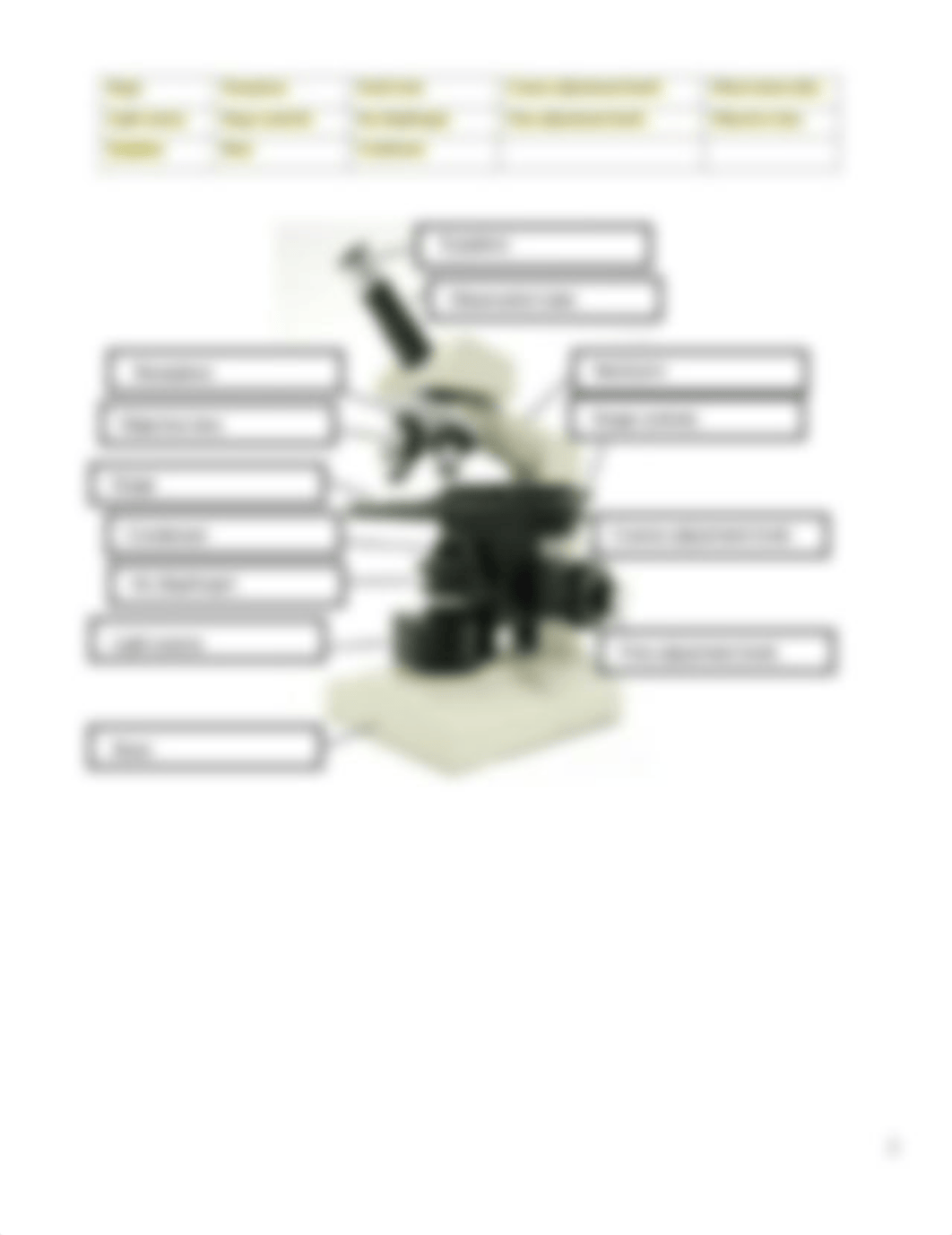 Microscopes and Cells Lab Handout.pdf_dgq5wks75m4_page2