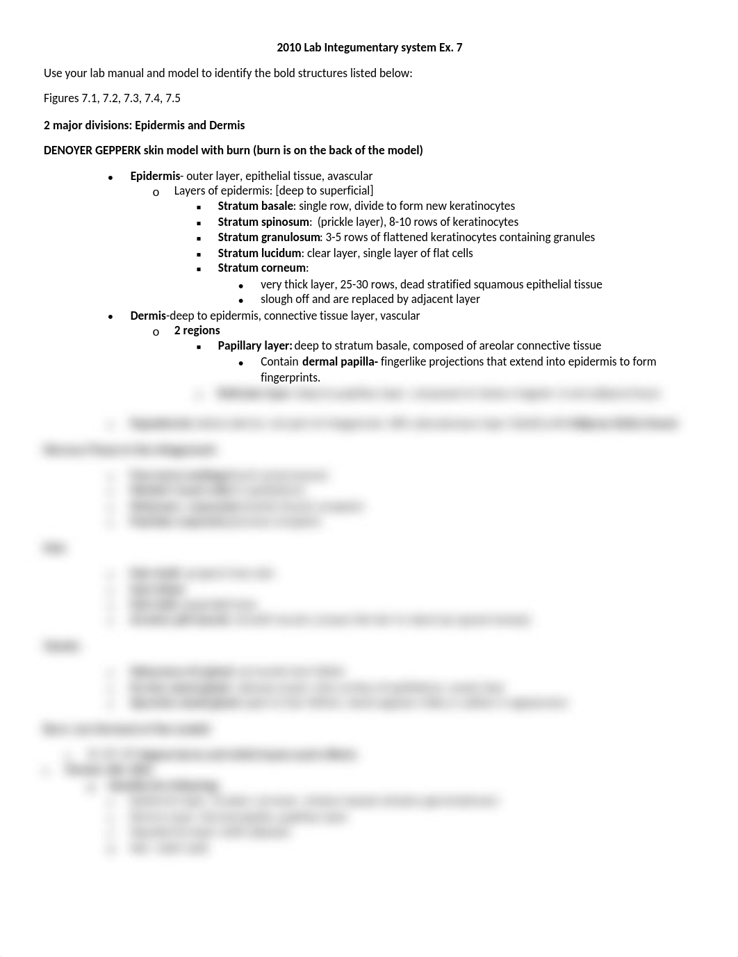 2010+Lab+Integumentary+system+Ex-2_dgq8h2elsfy_page1