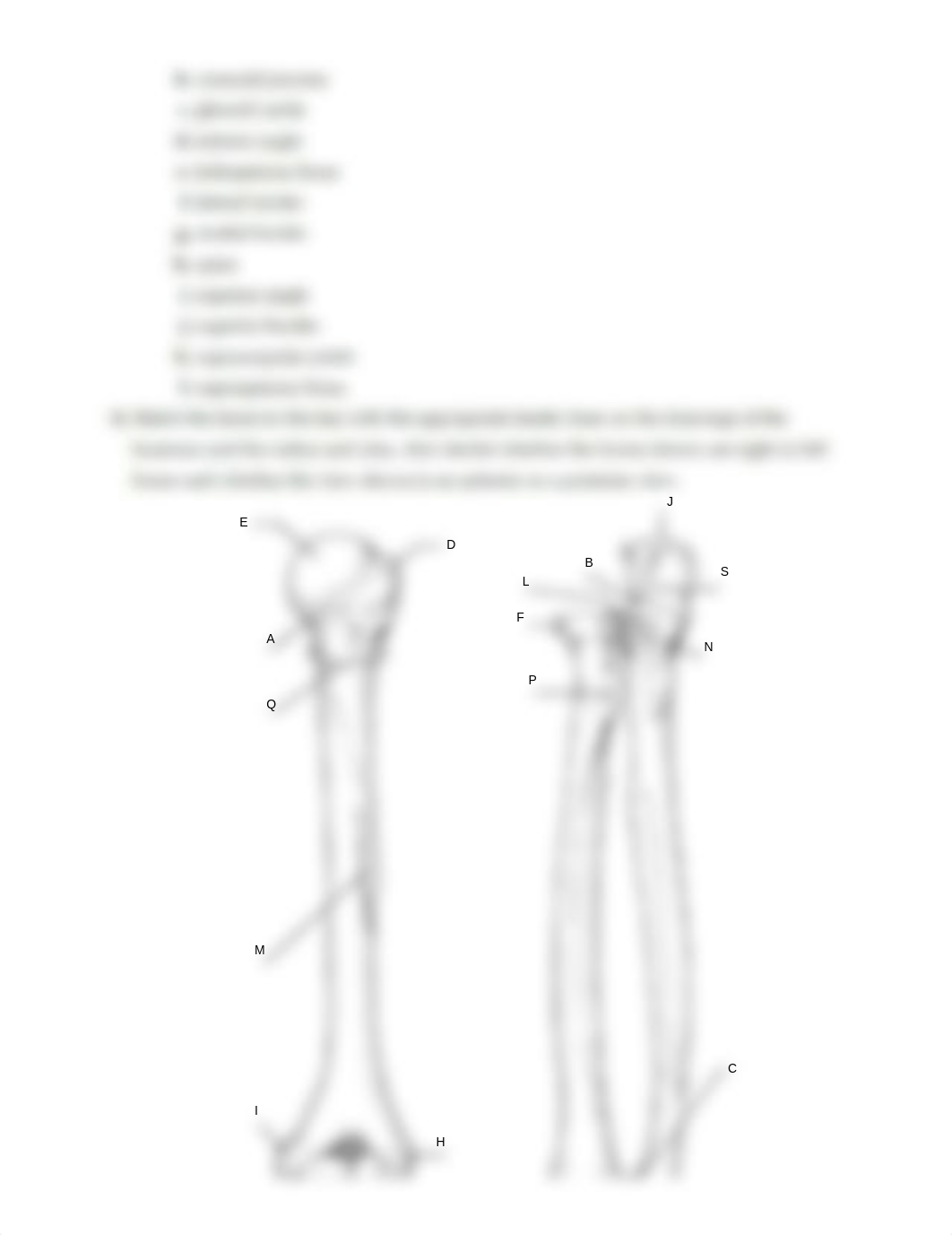 Ex10 Review sheet - The Appendicular Skeleton (1).pdf_dgq8z3j80en_page3