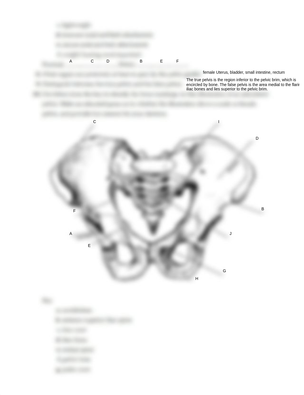 Ex10 Review sheet - The Appendicular Skeleton (1).pdf_dgq8z3j80en_page5