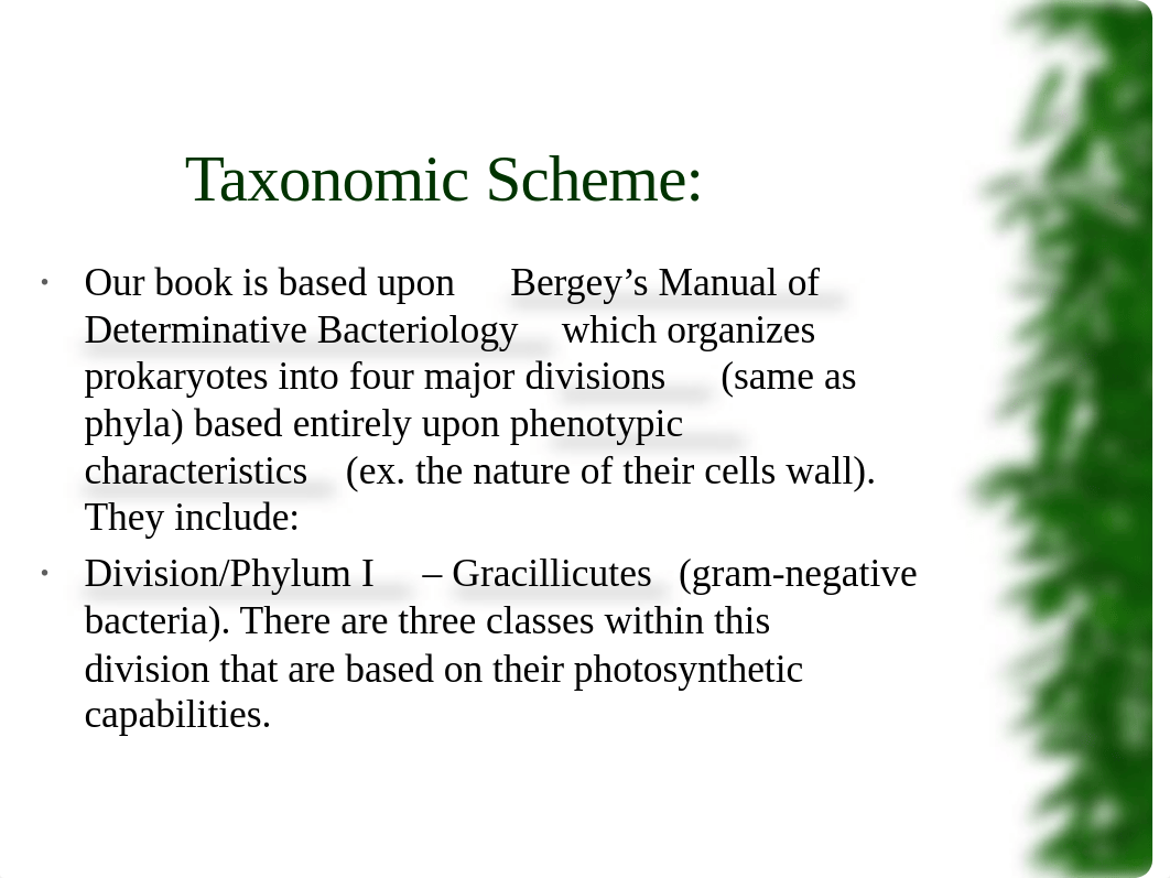 Prokaryotes - Taxonomic Hierarchy.ppt_dgqdwtngs5k_page3